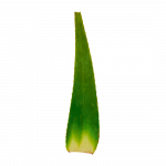 verdulivery-aloe-