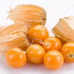 verdulivery-physalis